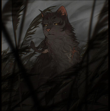 shaded +bg