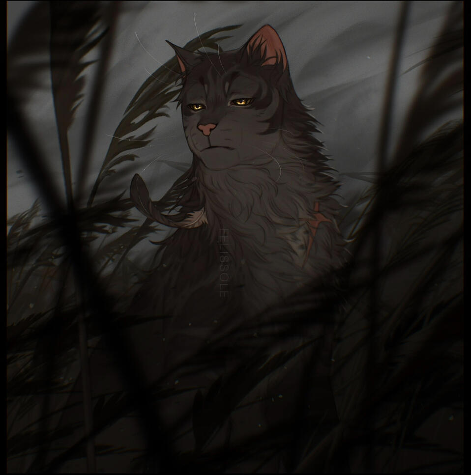 +background