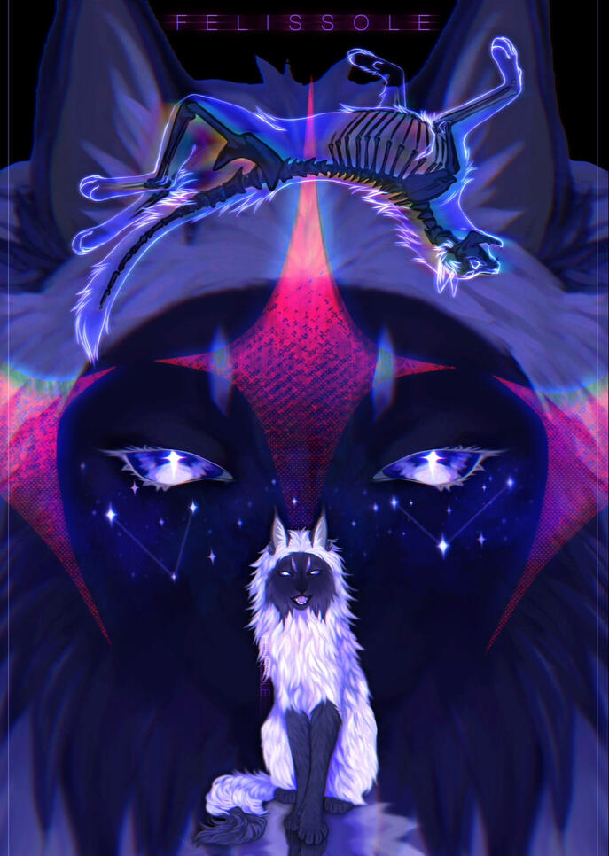 poster +rendered fullbody +rendered head +cat silhouette